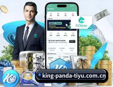 熊猫体育在线观 APP 深度功能