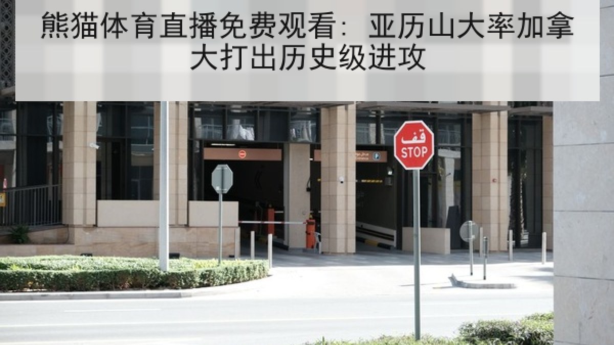 熊猫体育直播免费观看: 亚历山大率加拿大打出历史级进攻